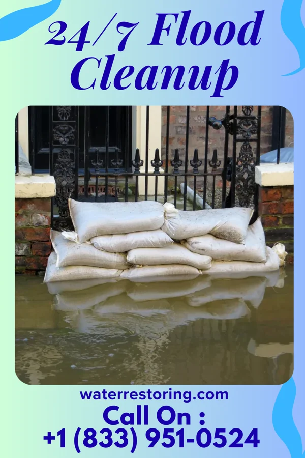 24/7 Flood Cleanup in Waldorf, MN